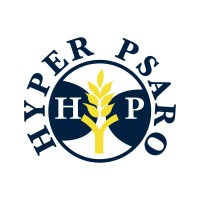 Hyper Psaro Group logo - Similar company to Cinco Solutions