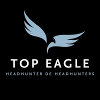 TopEagle logo - Similar company to Welever