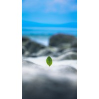 Association Sang Froid logo - Similar company to S