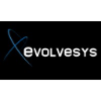 Evolvesys Consultancy Service Llp