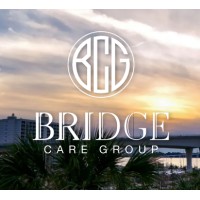 Bridge Care Group logo - Similar company to Mitchell Bridges Limited