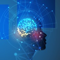 Datarebus