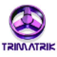 Trimatrik logo - Similar company to Linkvisionsoft