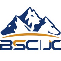 深圳市金畅进出口有限公司 logo - Similar company to Bibboards Inc
