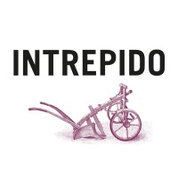 Riso Intrepido logo - Similar company to Vero Riso