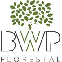 BWP FLORESTAL logo - Similar company to Bwp Sa