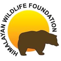 Himalayan Wildlife Foundation logo - Similar company to Shobisolutions.Com | Nfts | Dao | Defi |