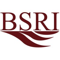 Brazos Specialty Risk Inc logo - Similar company to Insured Creativity