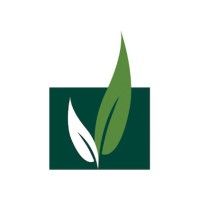 New Growth Group, LLC logo - Similar company to Rem Ohio Inc