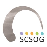 SCSOG Stichting Christelijk Speciaal Onderwijs Groningen logo - Similar company to Myndr