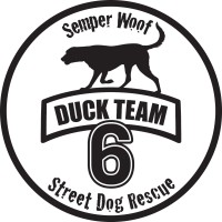 Duck Team 6 Street Dog Rescue
