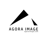 Agora Image logo - Similar company to Technisoft Consulting
