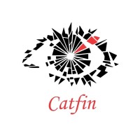 Catfin logo - Similar company to Intec Capital Limited