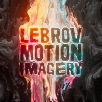 Lebrov Motion Imagery Ltd. logo - Similar company to Out Of Nothing