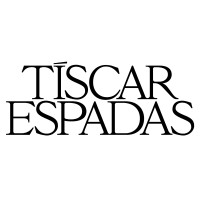 TÍSCAR ESPADAS logo - Similar company to Dm | Digital Mastery