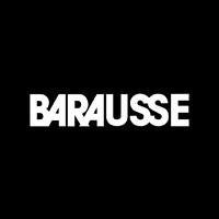 Barausse Doors logo - Similar company to Zanin Srl
