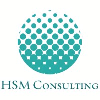HSM Consulting Danmark