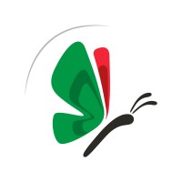 Teach for Palestine logo - Similar company to Techempo Inc