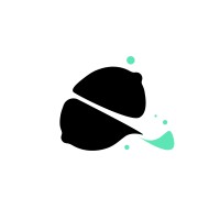 Citron Noir logo - Similar company to Agence Occoa