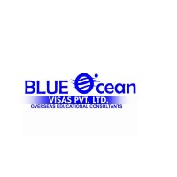 Blue Ocean Visas Pvt Ltd logo - Similar company to Rootfly Infotech