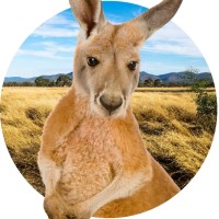 Sustainable Safari logo - Similar company to Petting Zoo