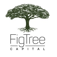 FigTree Capital logo - Similar company to Try Capital