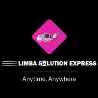Limba Solution Express logo - Similar company to Dogon Logistics