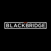Blackbridge Motors logo - Similar company to Rover Trophy