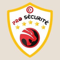 ProSécurité logo - Similar company to Grt Security