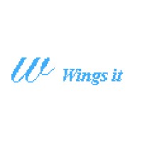 Wings It logo - Similar company to Wings It Solutions