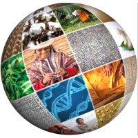 Around the World in 80 Fabrics logo - Similar company to Nexora Group
