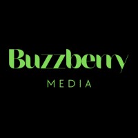 Buzzberry Media logo - Similar company to Anzo Solutions