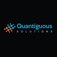 Quantiguous Solutions logo - Similar company to Apibank