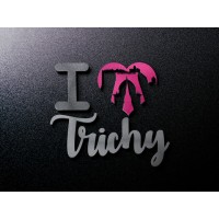 I Love Trichy logo - Similar company to Morais City