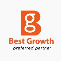 Best Growth IE logo - Similar company to Best Solution Provider (Web + Application)