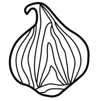 Cudaway logo - Similar company to 406 Labs