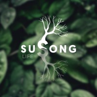 Susong logo - Similar company to Chimney Solutions
