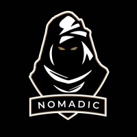 Nomadic Baseball logo - Similar company to 2080 Baseball Holdings, Llc