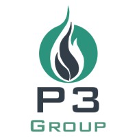 P3 Group Inc logo - Similar company to P3 Financial Group
