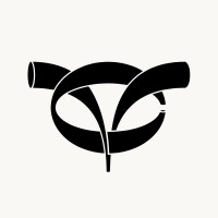 COMMONVISION logo - Similar company to Offshoot*Berlin (Os*B)