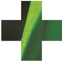 Green Cross, Incorporated