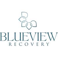 Blueview Recovery logo - Similar company to Scriptsusa