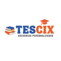 Tescix logo - Similar company to Diresa Callao