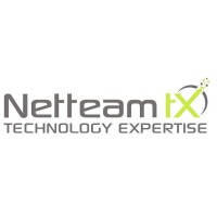 Netteam tX Ltd logo - Similar company to Intec Group