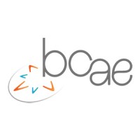 BCAE Boosteur de Compétences et Agilités entrepreneuriales logo - Similar company to Dona Beatriz