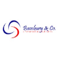 Bambury & Co logo - Similar company to M Cubed Chartered Accountants