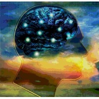Institute for Applied Neuroscience logo - Similar company to Fitexec | Executive Wellness Coaching