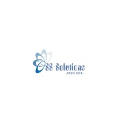 SS SOLUTIONS logo - Similar company to Phenom Services