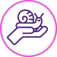 Halazoon | پلتفرم آموزشی حلزون logo - Similar company to Zamyaran | زامیاران