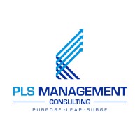 PLS Management Consulting logo - Similar company to Systems Thinking Standards Institute